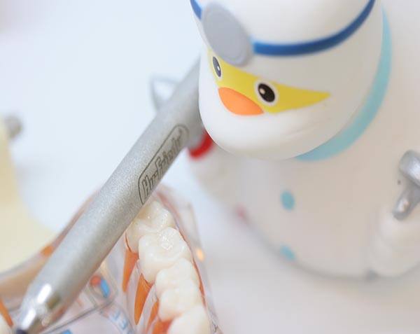  Почему важно создавать полную анатомию зуба